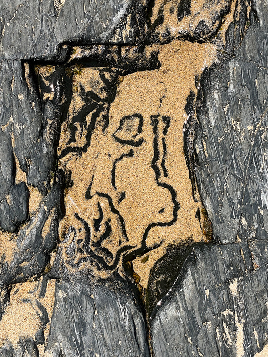 D02